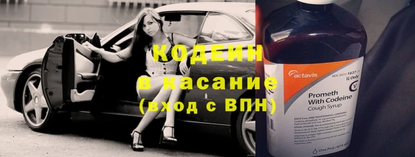 индика Магадан