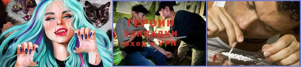 спиды Магас