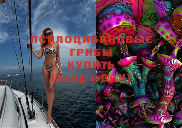индика Магадан