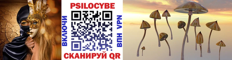 Галлюциногенные грибы Magic Shrooms  Мосальск 